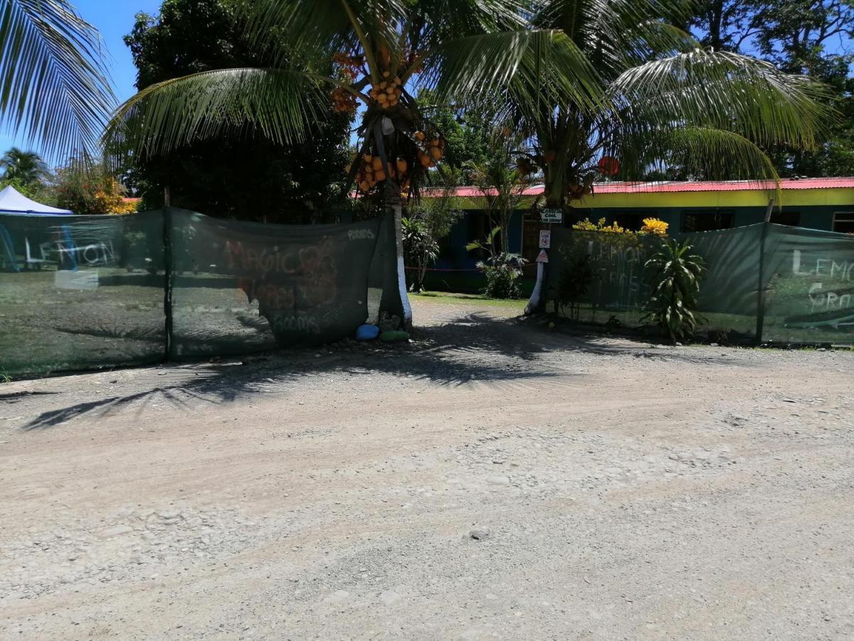 Magica flores Apartamento Cahuita Exterior foto